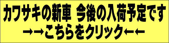 新車販売 カワサキ カワサキ正規代理店 ピットクルー 新車販売 カワサキ カワサキ正規代理店 ピットクルー